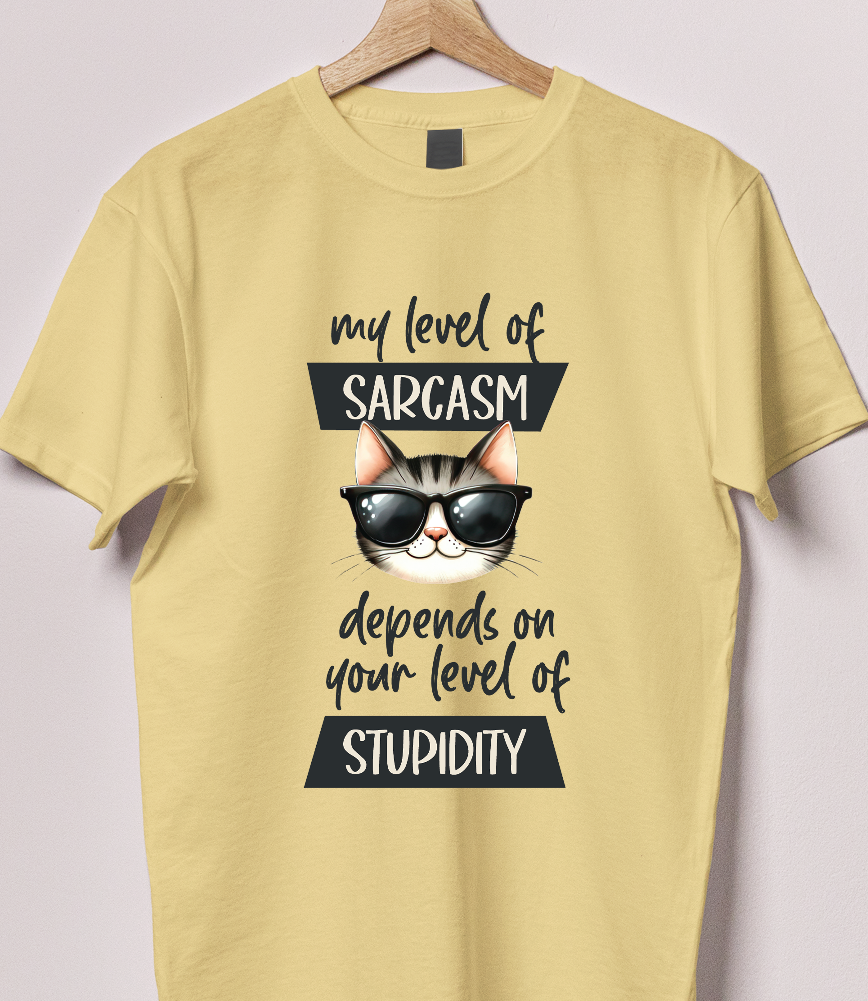 Level of Sarcasm