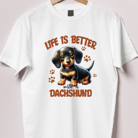 Dog - Dachshund